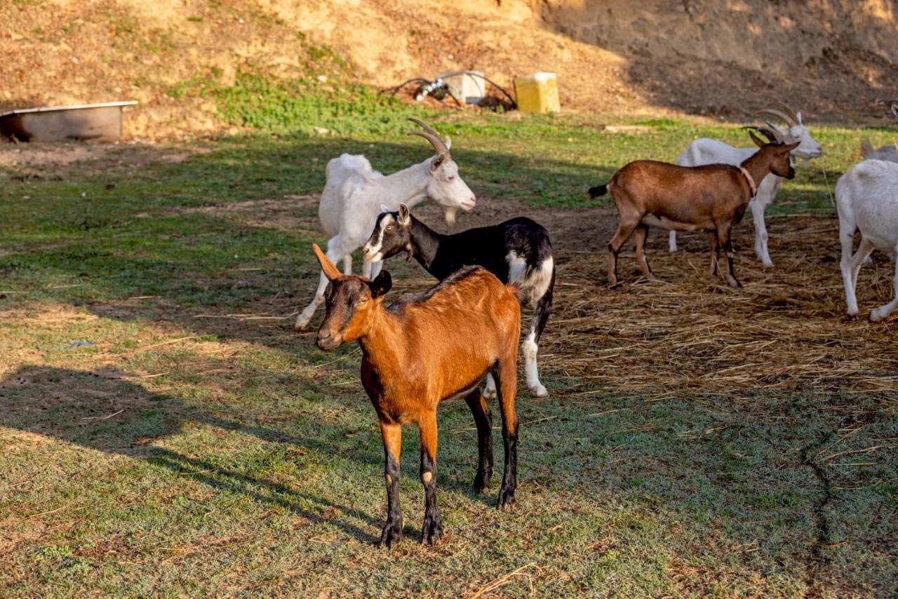 Agriturismo Cascina Trevo Spotorno Dış mekan fotoğraf