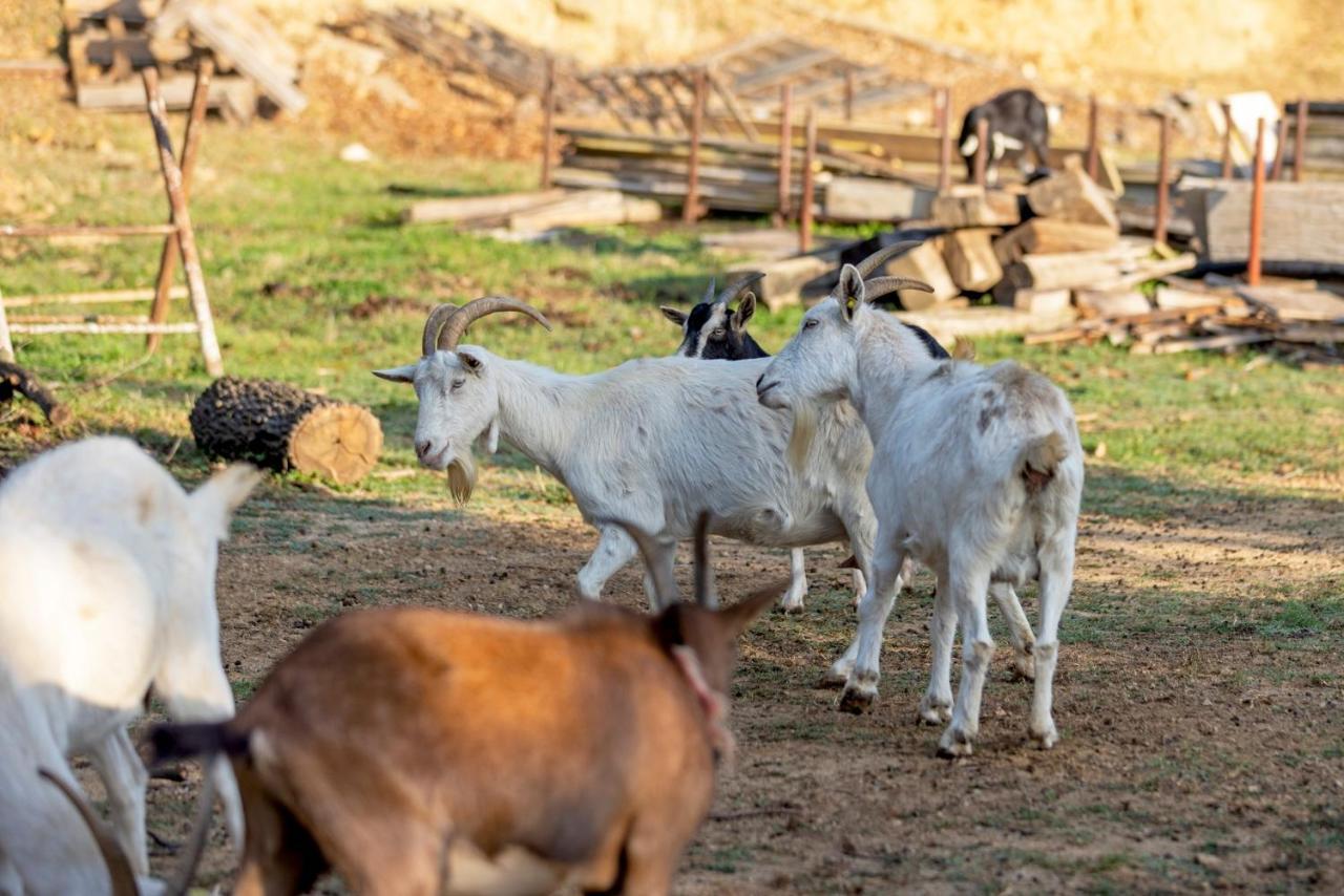 Agriturismo Cascina Trevo Spotorno Dış mekan fotoğraf