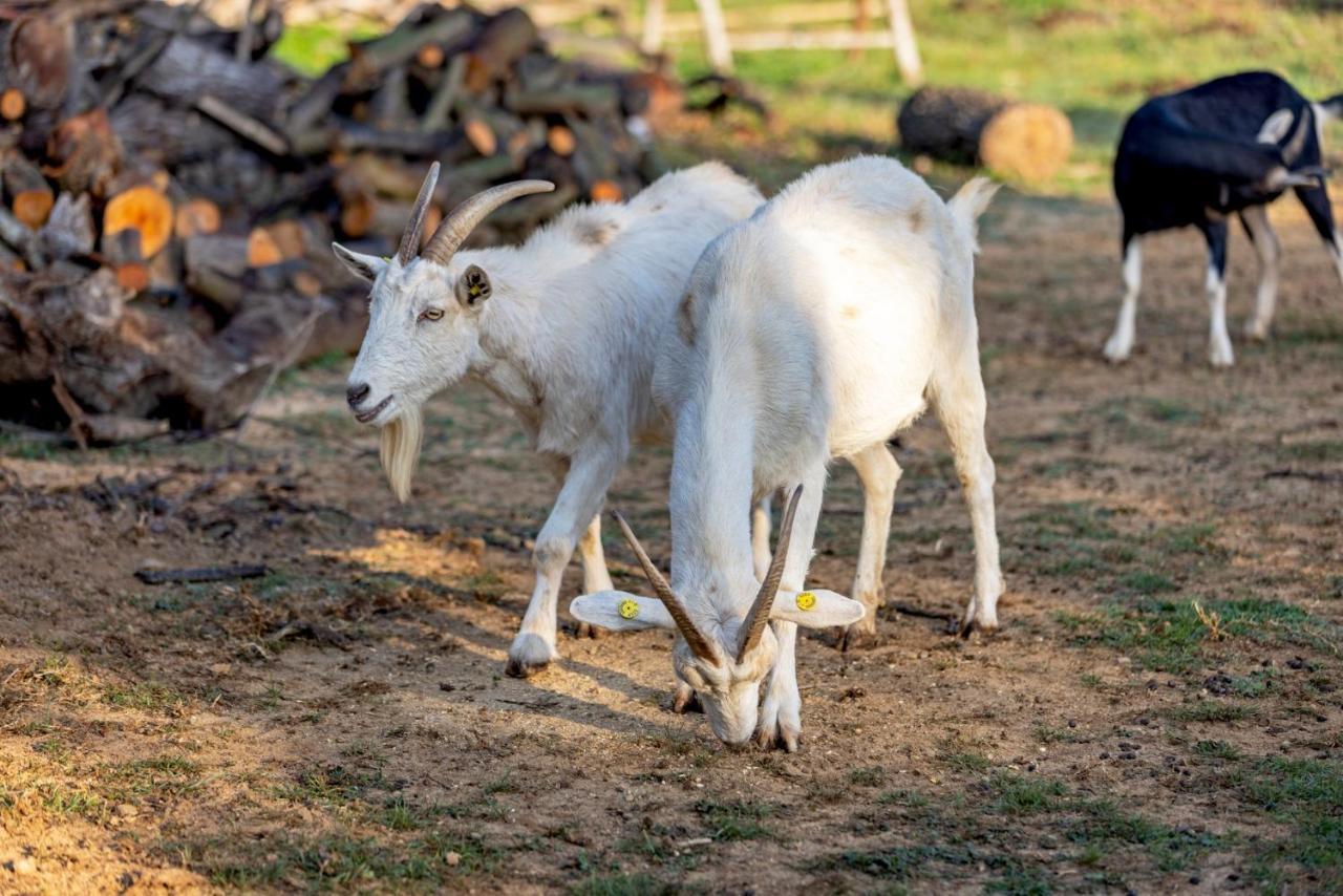 Agriturismo Cascina Trevo Spotorno Dış mekan fotoğraf