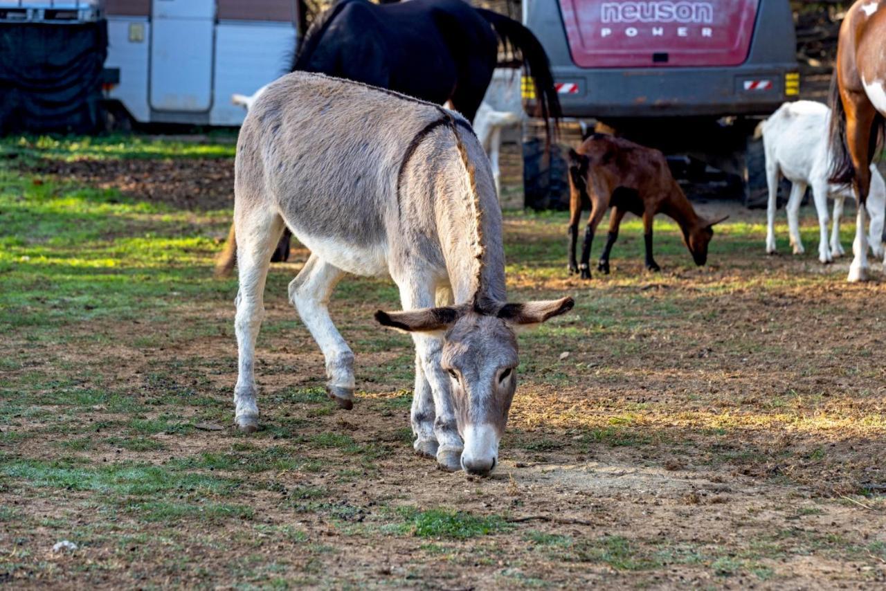 Agriturismo Cascina Trevo Spotorno Dış mekan fotoğraf